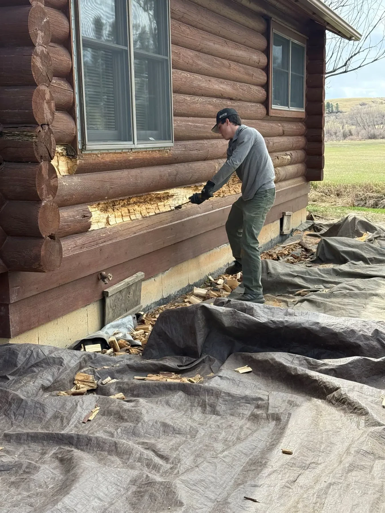 Log Rot Repair and Restoration